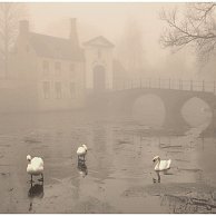 johnyhemelsoen - Bruges in the winter.