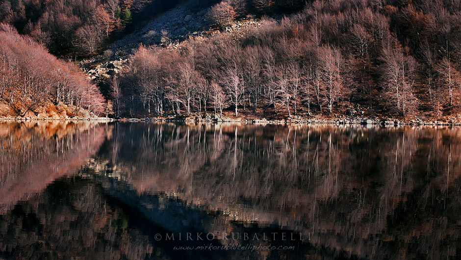 Mirko Rubaltelli - autumn reflections