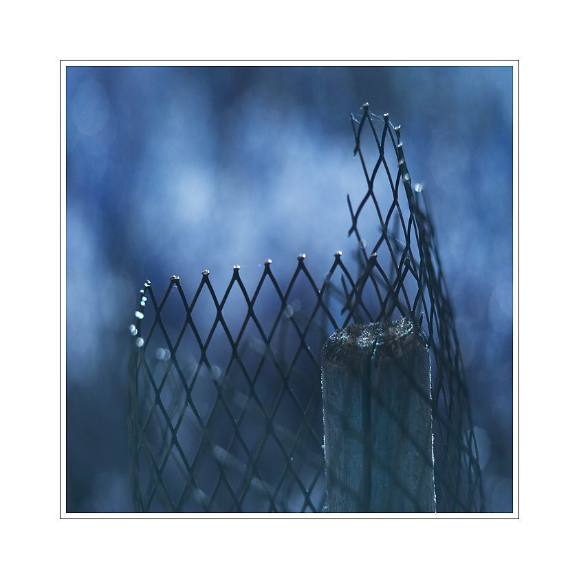 Uhler - Jako kůl v plotě