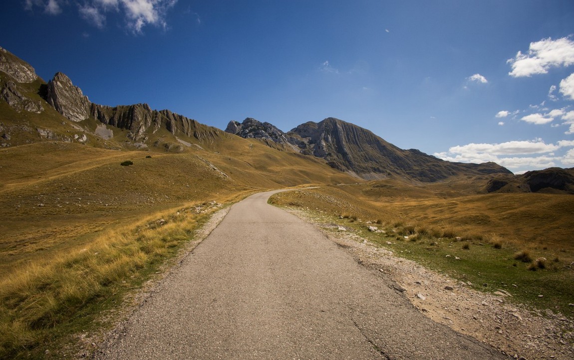 Uhler - Durmitor