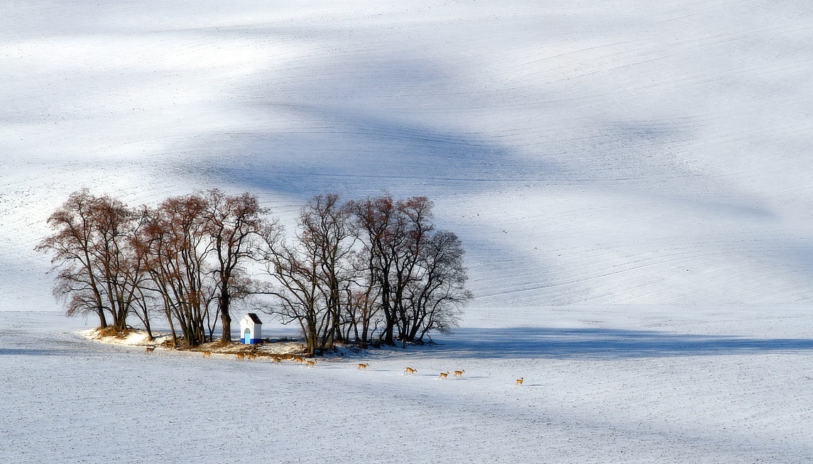 Uhler - Sv.Barborka v zimě