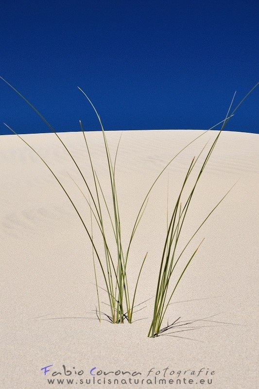 Fabio Corona - From the sand