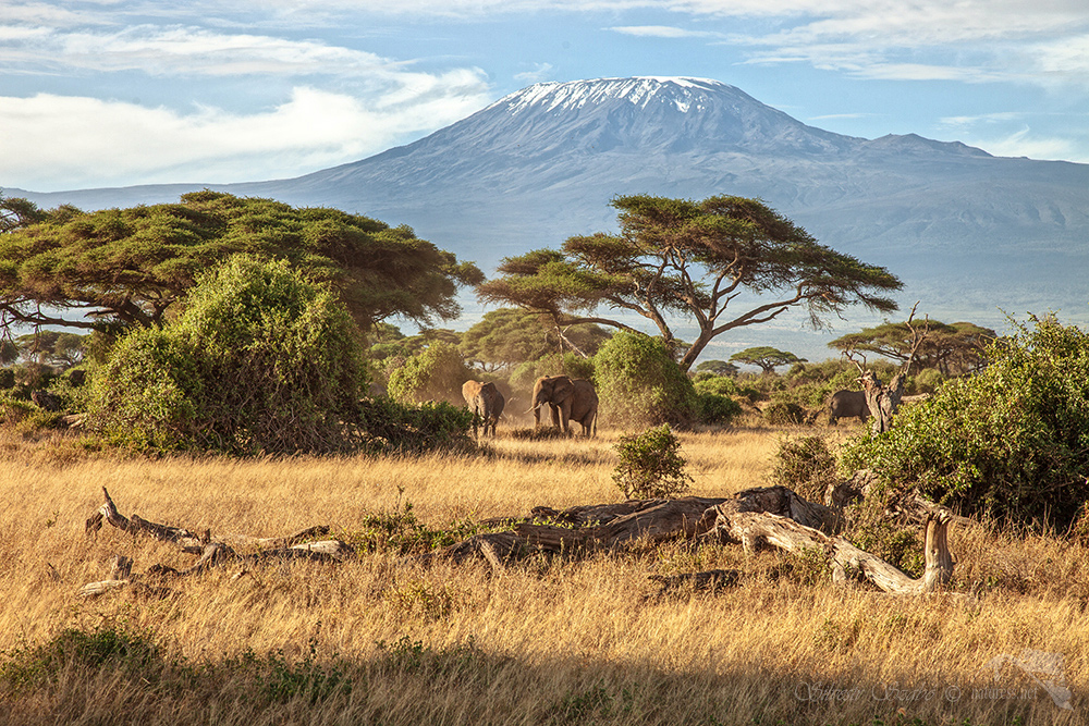 Silvestr Szabo - Kilimanžáro - Uhuru