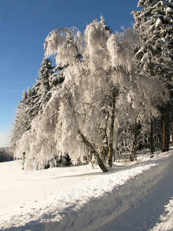 Bořivoj Buršík - začala zima